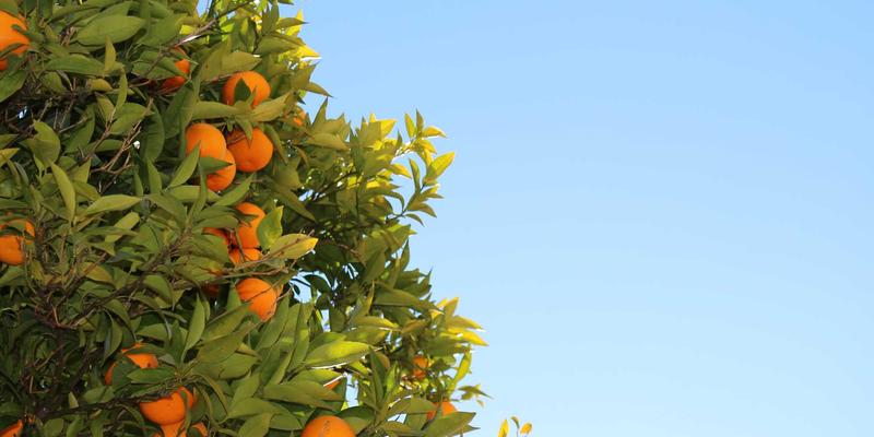 2024美容护肤新趋势：从化妆品选择到美妆教程的全方位指南