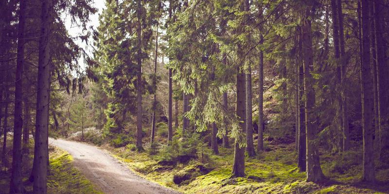 2024美容护肤新风向：科技赋能与可持续理念重塑美妆趋势