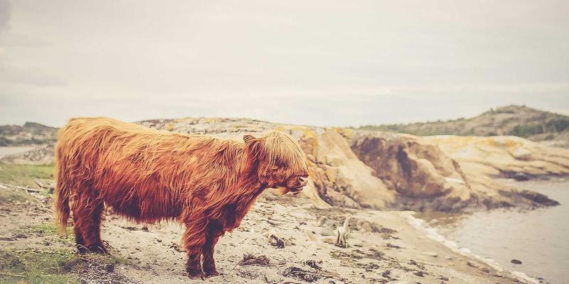 2024美容护肤趋势全解析：科学护肤与个性美妆引领新风尚