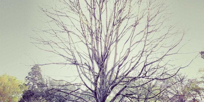 2025美容护肤新趋势：从成分革命到科技美妆的全面指南