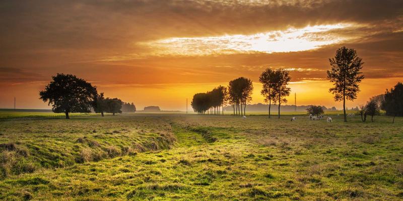 从护肤知识到自然护肤实践：科学选择护肤品推荐指南