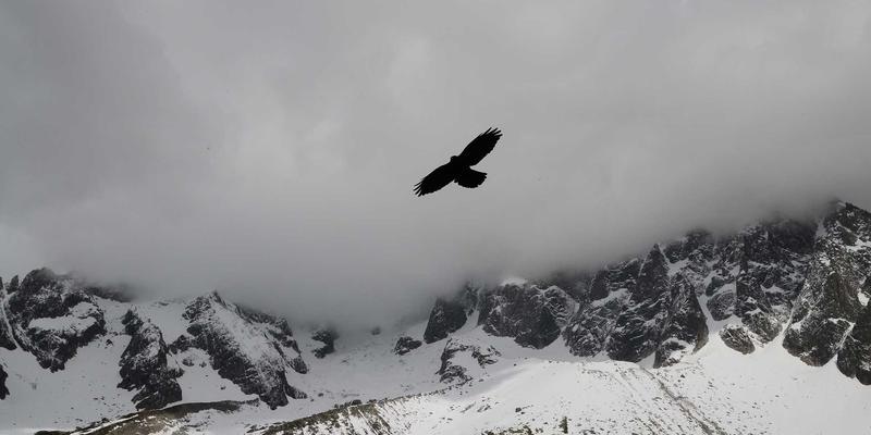 从零开始的自然护肤美妆教程：打造健康光泽肌的完整指南