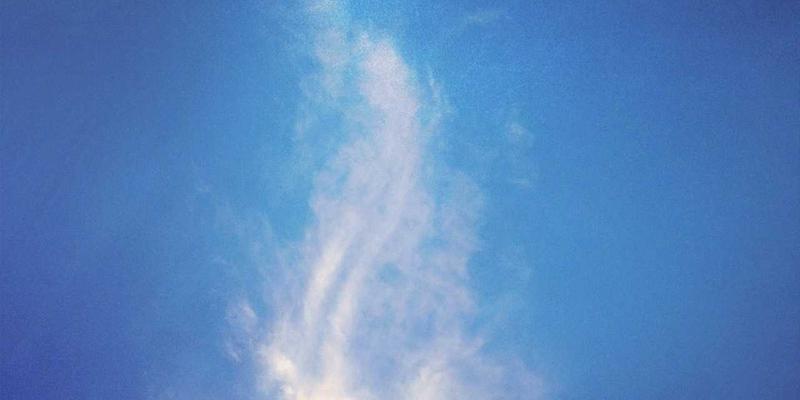 头皮抗衰老护理全攻略：从科学洗发到精华养护，守住发际线的美妆教程与护肤知识