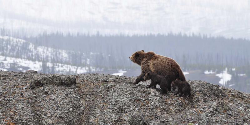 孕期及哺乳期安全护肤指南：成分禁忌与产品推荐，开启自然护肤新篇章