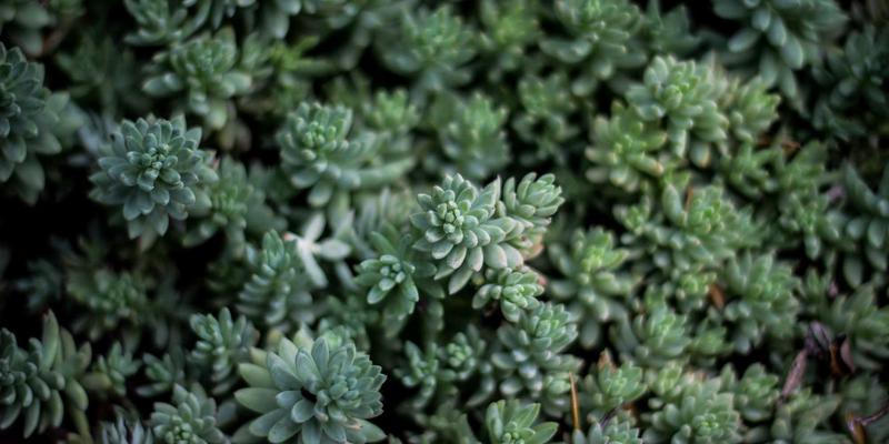 科学护肤全攻略：从基础知识到产品选择，打造健康发光肌