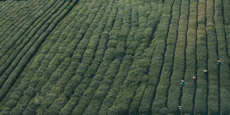 美妆趋势解析：掌握护肤品正确涂抹手法与按摩技巧，让化妆品效果翻倍