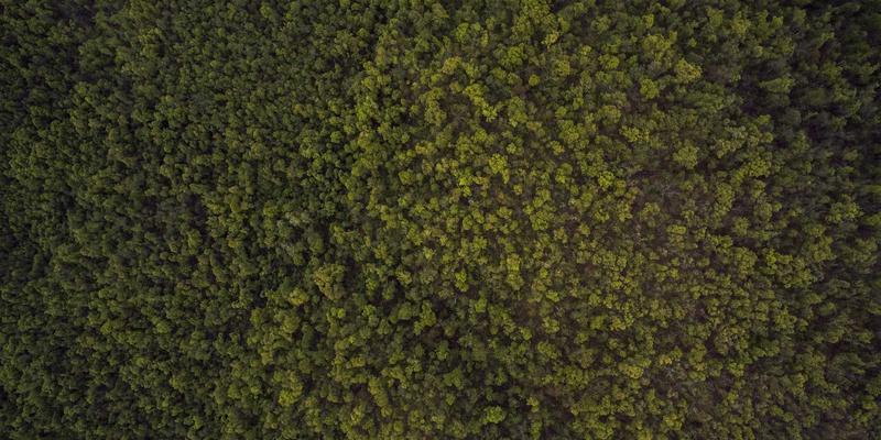 美容护肤全攻略：从基础护肤到美妆教程的实用指南