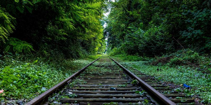 自然护肤与科学选择:揭秘美容护肤最佳实践