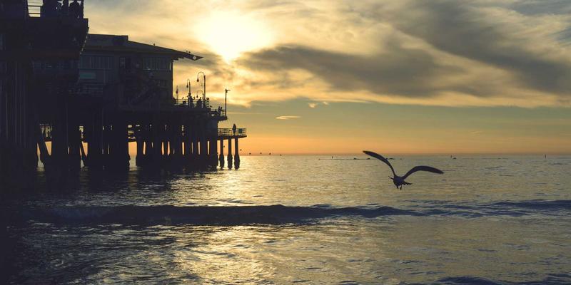 自然护肤与美妆教程：回归本质的现代美容哲学