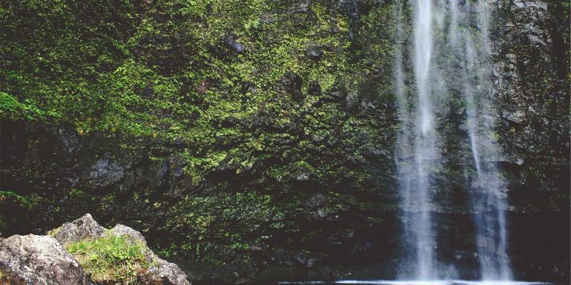 自然护肤的智慧：50个美容护肤技巧打造健康光泽肌